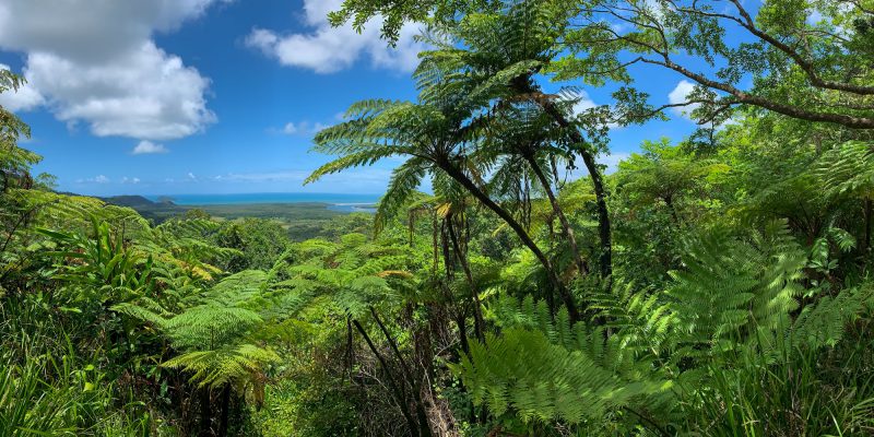 Permanent + secure land protection across Queensland