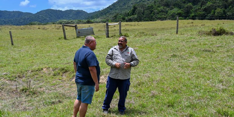 Positive + productive Indigenous land management partnerships