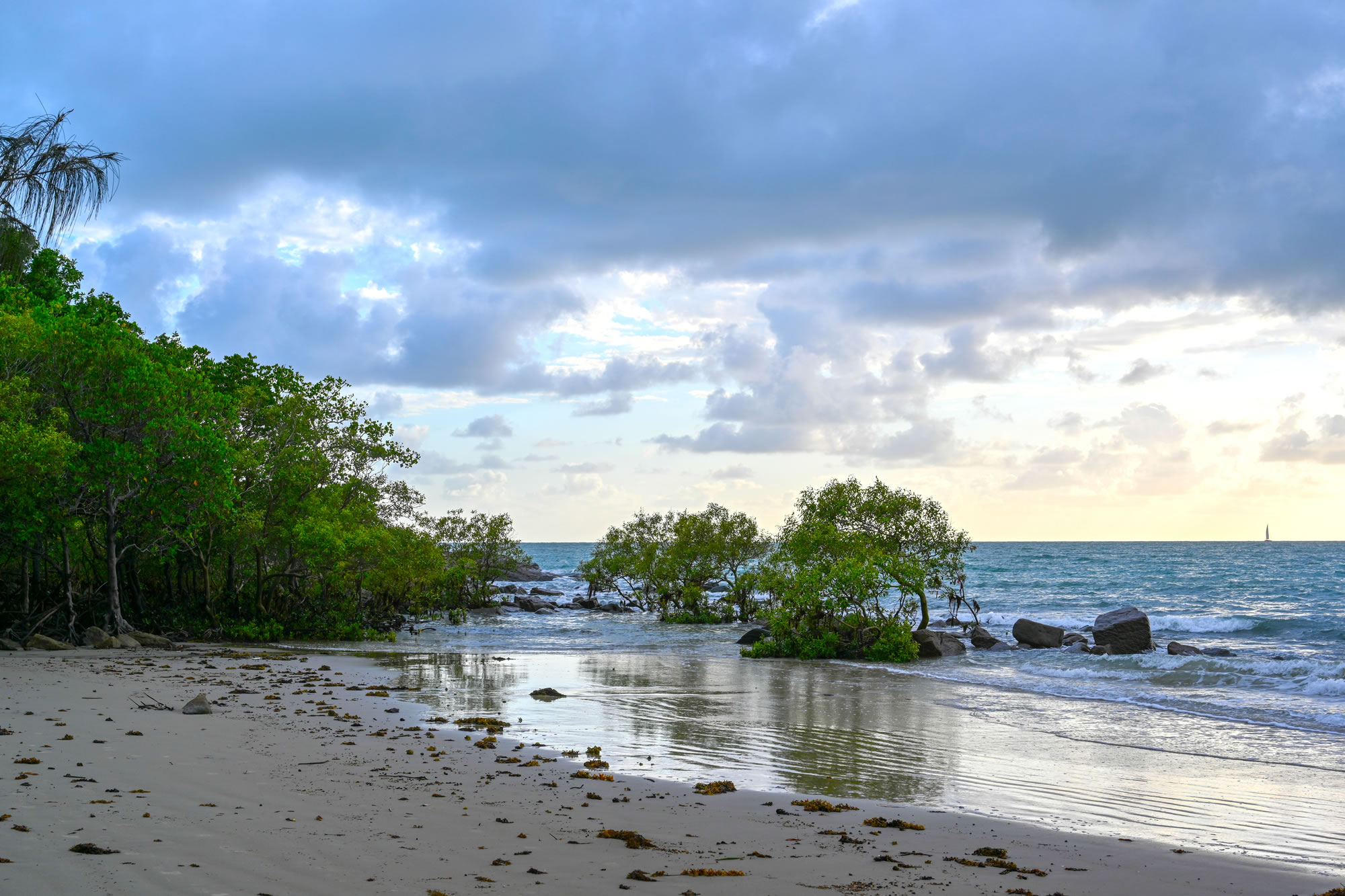 About - Queensland Trust For Nature