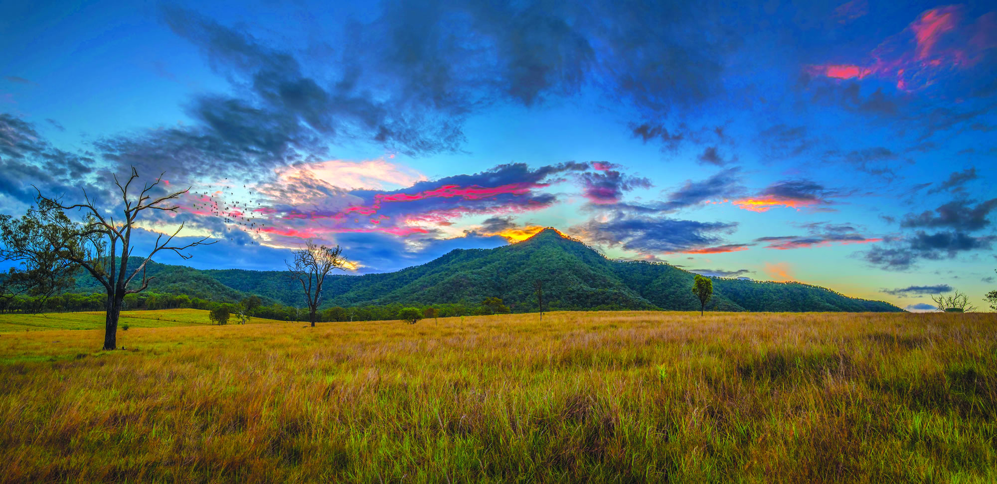 Accounting For Nature Queensland Trust For Nature