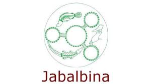 Jabalbina