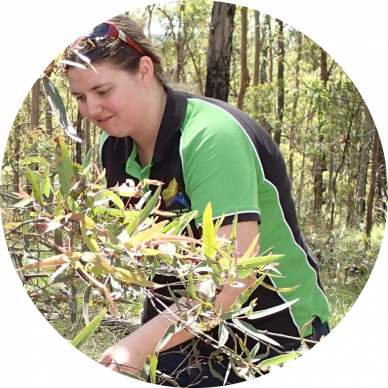 Introducing The C4RE Invert Adventure Experts Queensland Trust For Nature