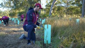 AFL Brisbane Lions player Darcy Fort planting a tree at QTFN's Aroona Station.